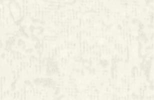 プレーンホワイト