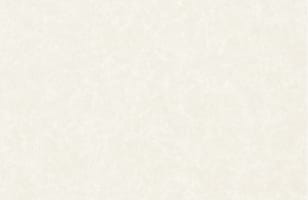 ラフサンドベージュ