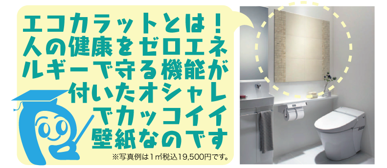 エコカラットとは?