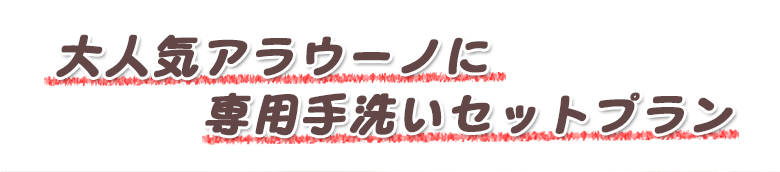 大人気アラウーノに専用手洗いセットプラン